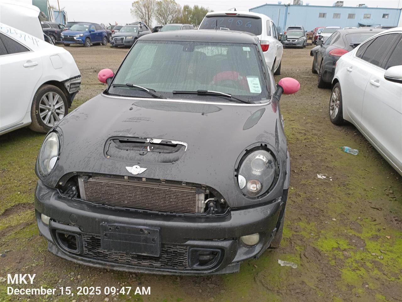 GRY DECKLID TAILGATE OEM 07-13 MINI MINICOOPE - Image 3