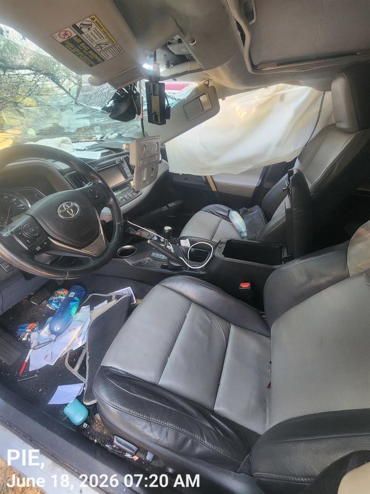 RAV 4     2016 Hatchback Strut 12776257 - Image 2