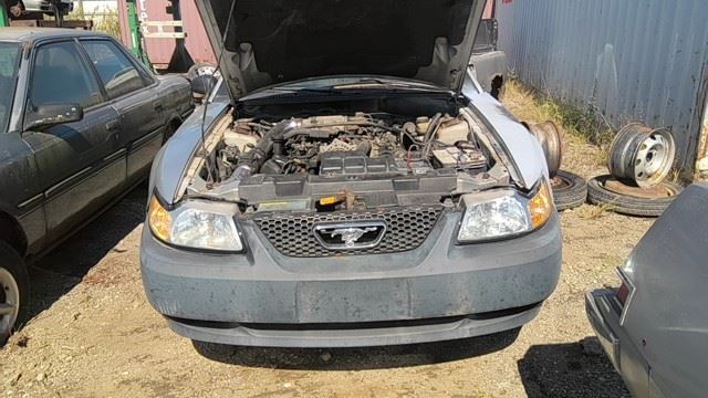 1999 FORD Mustang