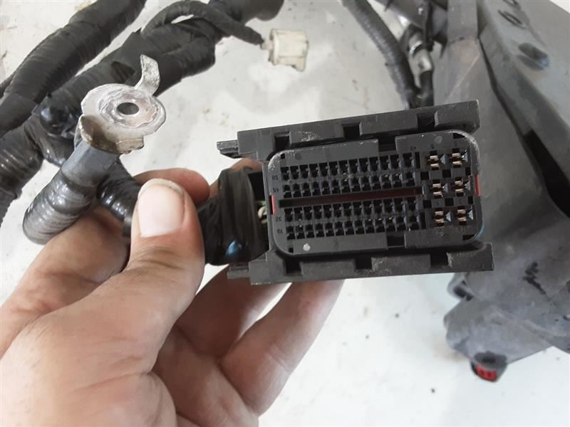 2012-2014 Ford Focus Engine Wire Wiring Harness 2.0L Automatic | eBay
