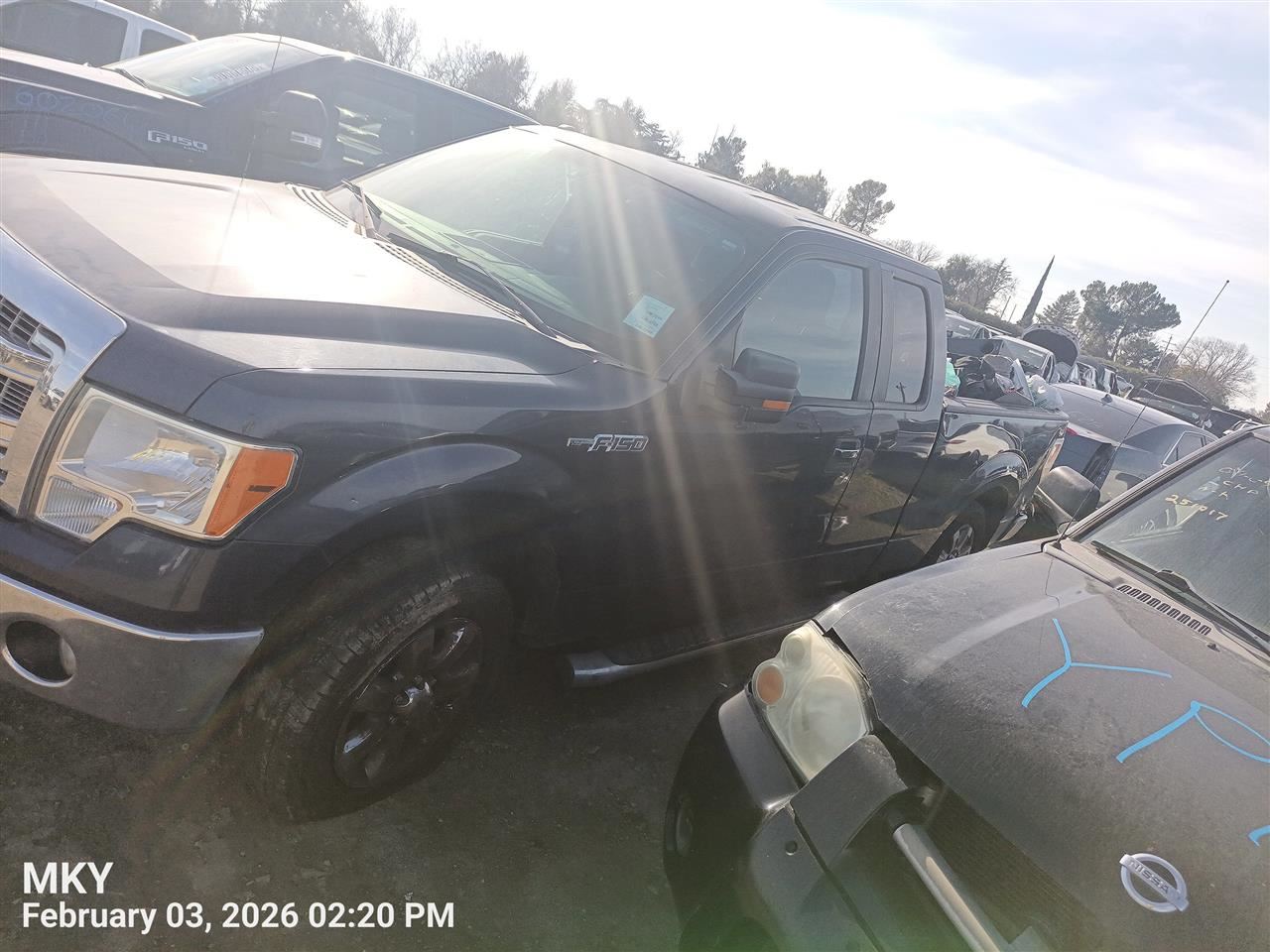 RIGHT GRY FRONT HEADREST OEM 2012 FORD F150 CU5Z25611A08A - Image 5