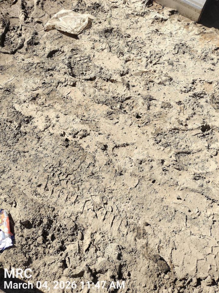 LEFT FRONT SPINDLE KNUCKLE OEM 23-25 HONDA ACCORD - Image 1