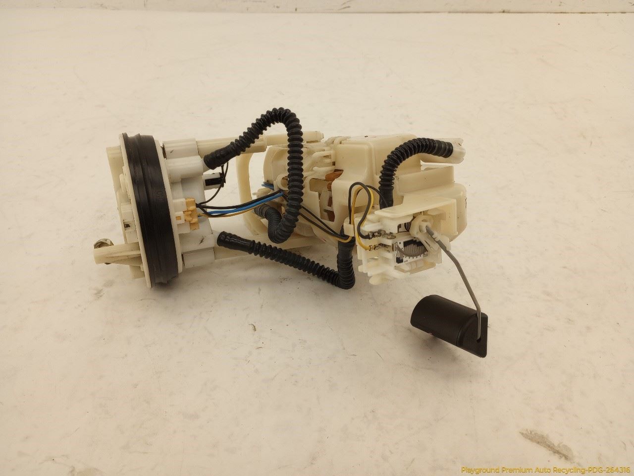 Photo 12